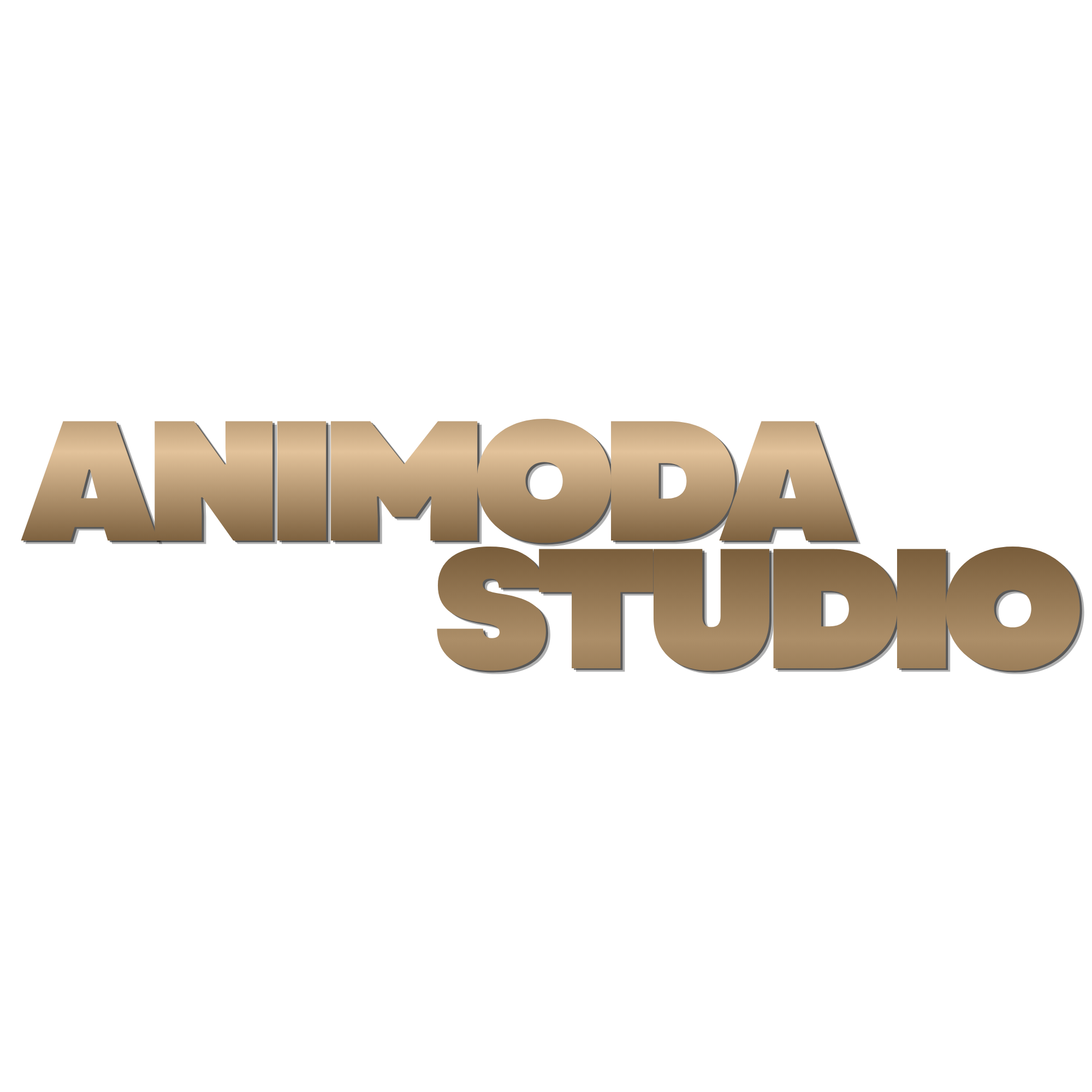 ANIMODA STUDIO
