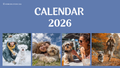 ANIMODA Dog Club — Monthly Membership