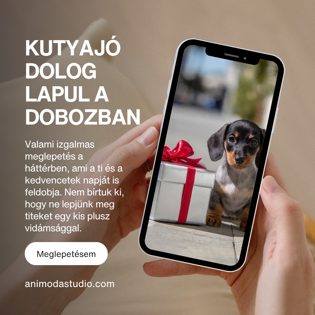 ANIMODA DOG CLUB —  VIP TAGSÁG